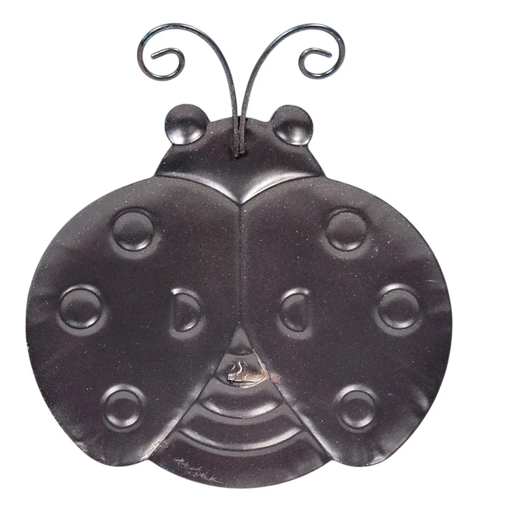 N/A theme ladybug